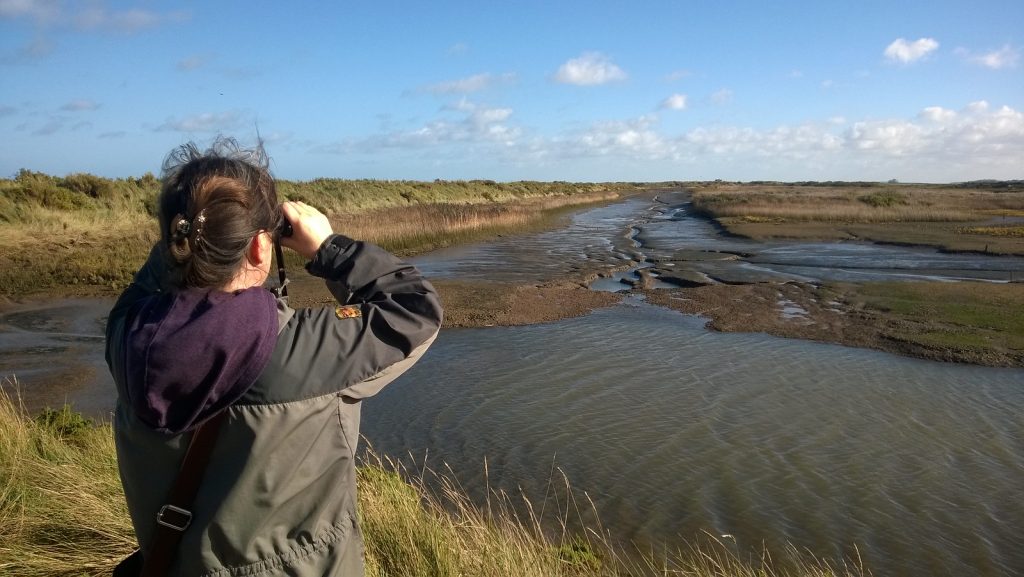 Woman birdwatching on the marshes