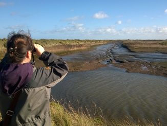 Woman birdwatching on the marshes