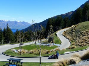 skyline luge